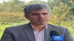 بازگشت کمباین‌ها به شالیزاری گیلان همزمان با برداشت راتون